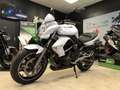 Kawasaki Blanc - thumbnail 2