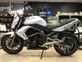 Kawasaki Blanc - thumbnail 3
