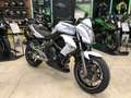 Kawasaki Blanc - thumbnail 1