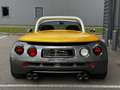 Renault Spider I (E94) 2.0 16v 150ch Sport Gelb - thumbnail 8
