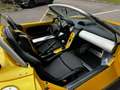 Renault Spider I (E94) 2.0 16v 150ch Sport Gelb - thumbnail 12