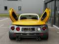 Renault Spider I (E94) 2.0 16v 150ch Sport Geel - thumbnail 29
