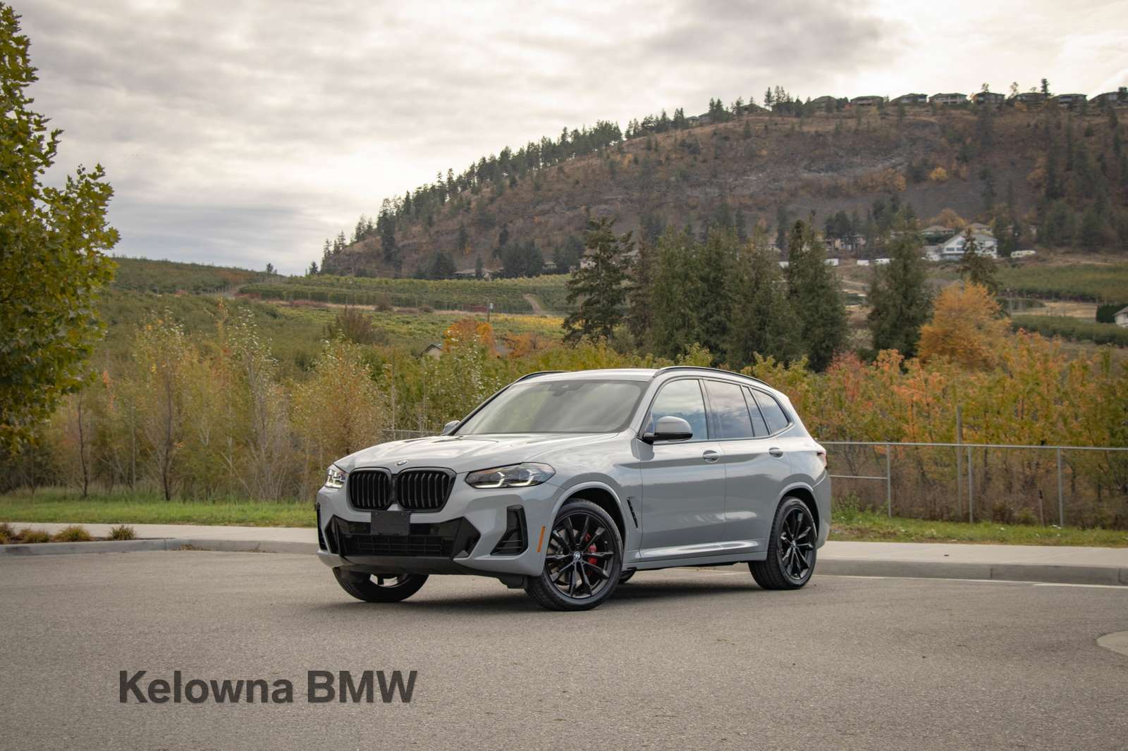 2024 BMW X3