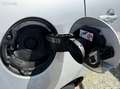Renault Grand Scenic 1.9l DCI 130CV FAP DYNAMIC 7 PL Gris - thumbnail 13