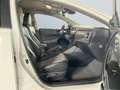 Toyota Auris 1.8 Hybrid Automatik TS Executive *LED*CAM* Weiß - thumbnail 21