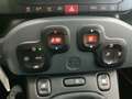 Fiat Panda Panda III 2021 Cross 1.0 firefly hybrid Vert - thumbnail 15