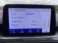 Ford Focus 1,5d EcoBlue 120cv Titanium Pack Head Up & B&O AHK Bleu - thumbnail 21