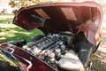 Jaguar E-Type S1 3.8 FHC LHD Rood - thumbnail 4