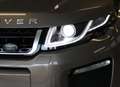 Land Rover Range Rover Evoque 2.0 TD4 150 CV Convertibile SE Dynamic Bronzo - thumbnail 4
