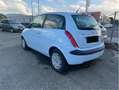 Lancia Ypsilon 1.3 mjt Argento Blu/Azzurro - thumbnail 2
