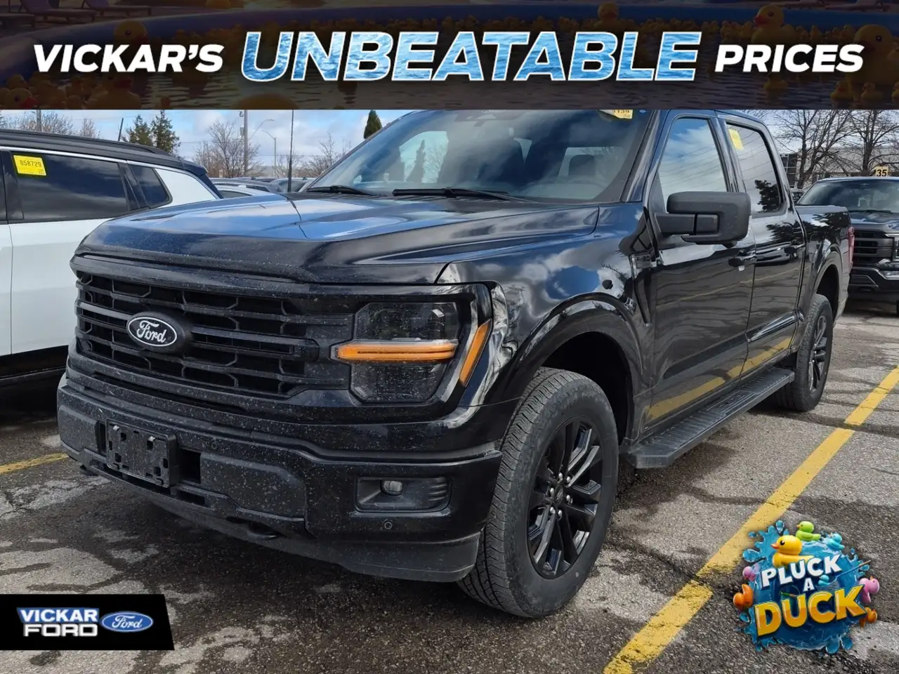 2024 Ford F 150 XLT — photo 1