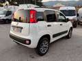 Fiat Panda 1.3mjt 80cv 4x4 AUTOCARRO 2 POSTI Blanc - thumbnail 3