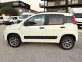 Fiat Panda 1.3mjt 80cv 4x4 AUTOCARRO 2 POSTI Blanc - thumbnail 6