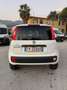 Fiat Panda 1.3mjt 80cv 4x4 AUTOCARRO 2 POSTI Blanc - thumbnail 4