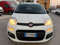 Fiat Panda 1.3mjt 80cv 4x4 AUTOCARRO 2 POSTI Blanc - thumbnail 8