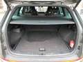 Skoda Kodiaq RS 2.0 TSI DSG 4x4 AHK+MATRIX+ACC+FAMILY Klima Grau - thumbnail 16