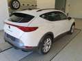 CUPRA Formentor 1,5 TSI Matrix Kamera Sound AHK Weiß - thumbnail 3