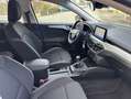 Ford Focus 1.5 Ecoblue Trend+ 120 Blanco - thumbnail 12