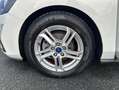 Ford Focus 1.5 Ecoblue Trend+ 120 Blanco - thumbnail 7