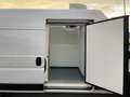 Citroen Jumper L4H3 35+ Tiefkühl / Kühl / Standkühl Weiß - thumbnail 12