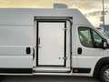 Citroen Jumper L4H3 35+ Tiefkühl / Kühl / Standkühl Weiß - thumbnail 11