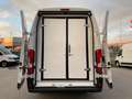 Citroen Jumper L4H3 35+ Tiefkühl / Kühl / Standkühl Weiß - thumbnail 5