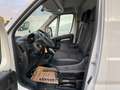 Citroen Jumper L4H3 35+ Tiefkühl / Kühl / Standkühl Weiß - thumbnail 21