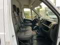 Citroen Jumper L4H3 35+ Tiefkühl / Kühl / Standkühl Weiß - thumbnail 25