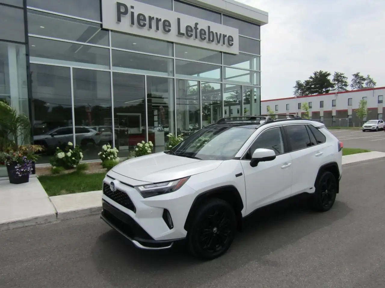 2024 Toyota RAV 4