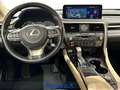 Lexus RX 450h 3.5 Luxury cvt Weiß - thumbnail 15