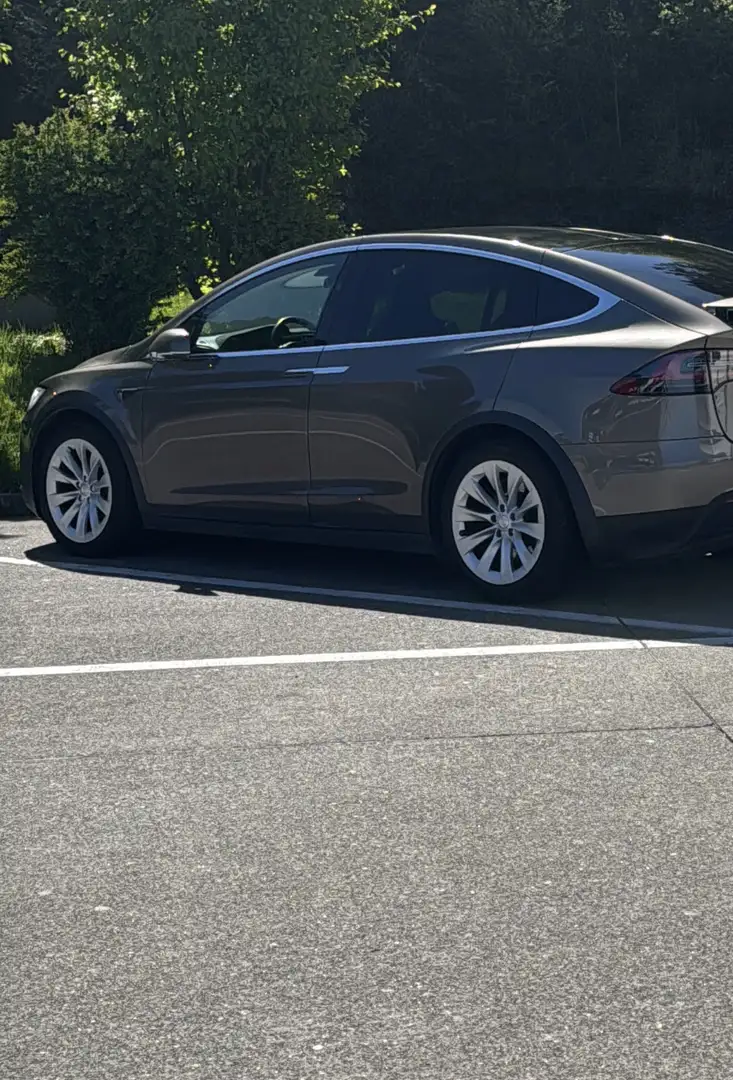 Tesla Model X Signature P90D Allradantrieb Beige - 2