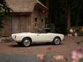 Alfa Romeo Giulia 1600 Spider | Origineel Nederlands Wit - thumbnail 6