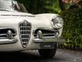 Alfa Romeo Giulia 1600 Spider | Origineel Nederlands Wit - thumbnail 18