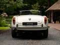 Alfa Romeo Giulia 1600 Spider | Origineel Nederlands Wit - thumbnail 5