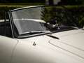 Alfa Romeo Giulia 1600 Spider | Origineel Nederlands Wit - thumbnail 20