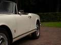Alfa Romeo Giulia 1600 Spider | Origineel Nederlands Wit - thumbnail 29