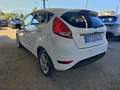 Ford Fiesta Fiesta VI 2013 5p 1.5 tdci Titanium 75cv Bianco - thumbnail 3
