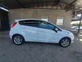 Ford Fiesta Fiesta VI 2013 5p 1.5 tdci Titanium 75cv Bianco - thumbnail 6