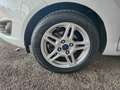 Ford Fiesta Fiesta VI 2013 5p 1.5 tdci Titanium 75cv Bianco - thumbnail 10