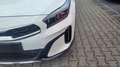 Kia XCeed City *Modell 2026*LED*Navi*PDC*Cam*SHZ*Alu 110 ... Weiß - thumbnail 17