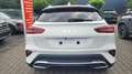 Kia XCeed City *Modell 2026*LED*Navi*PDC*Cam*SHZ*Alu 110 ... Weiß - thumbnail 5