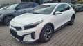 Kia XCeed City *Modell 2026*LED*Navi*PDC*Cam*SHZ*Alu 110 ... Weiß - thumbnail 1