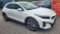 Kia XCeed City *Modell 2026*LED*Navi*PDC*Cam*SHZ*Alu 110 ... Weiß - thumbnail 3