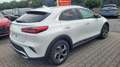 Kia XCeed City *Modell 2026*LED*Navi*PDC*Cam*SHZ*Alu 110 ... Weiß - thumbnail 4