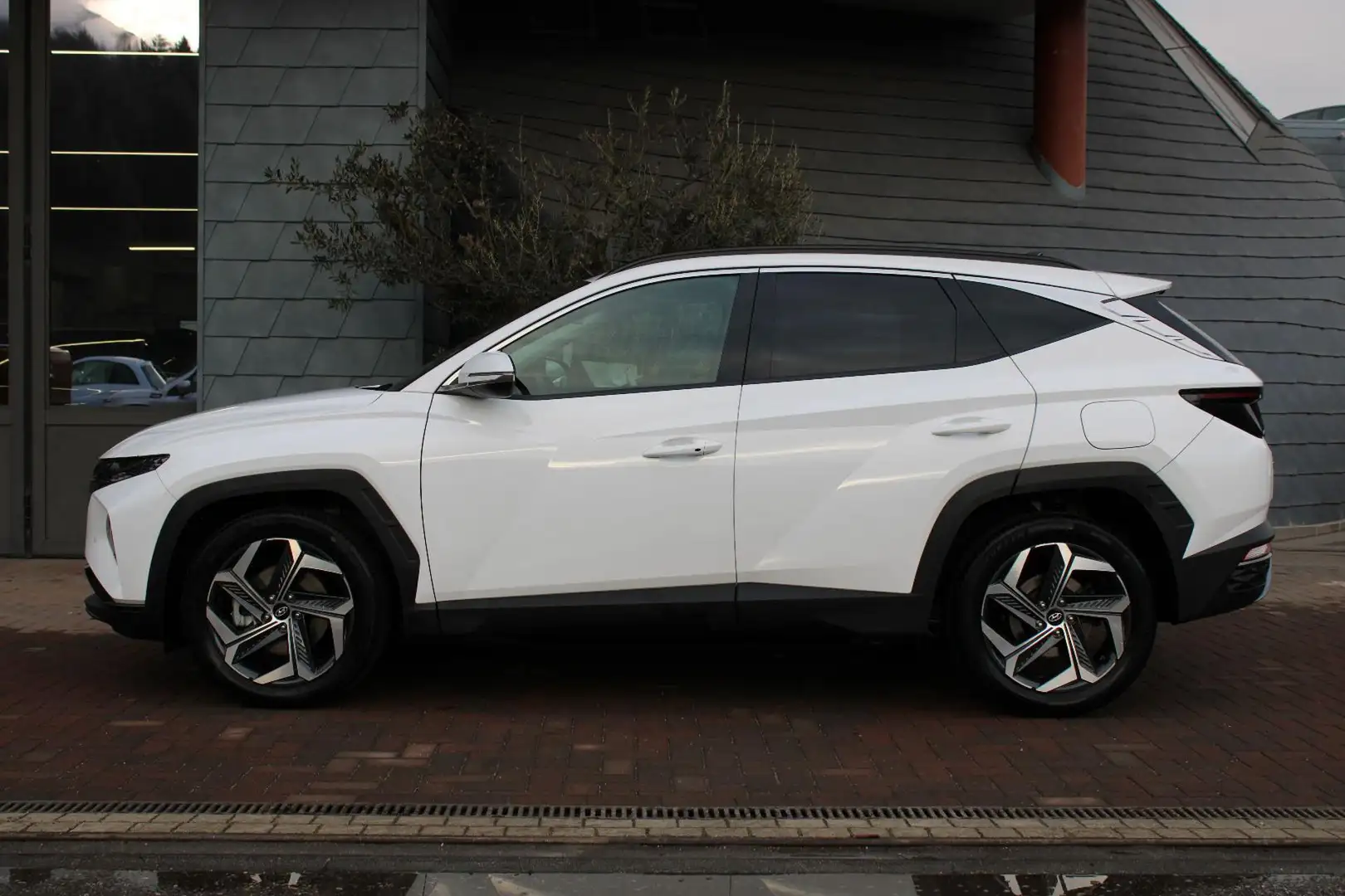 Hyundai TUCSON 1.6 HEV aut.Exellence Bianco - 1