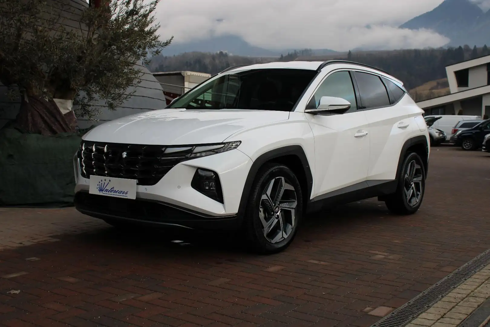 Hyundai TUCSON 1.6 HEV aut.Exellence Bianco - 2
