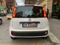 Fiat Panda Panda 1.2 Easy Weiß - thumbnail 6