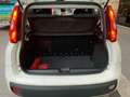Fiat Panda Panda 1.2 Easy Weiß - thumbnail 9