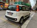 Fiat Panda Panda 1.2 Easy Weiß - thumbnail 5