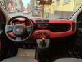 Fiat Panda Panda 1.2 Easy Weiß - thumbnail 11